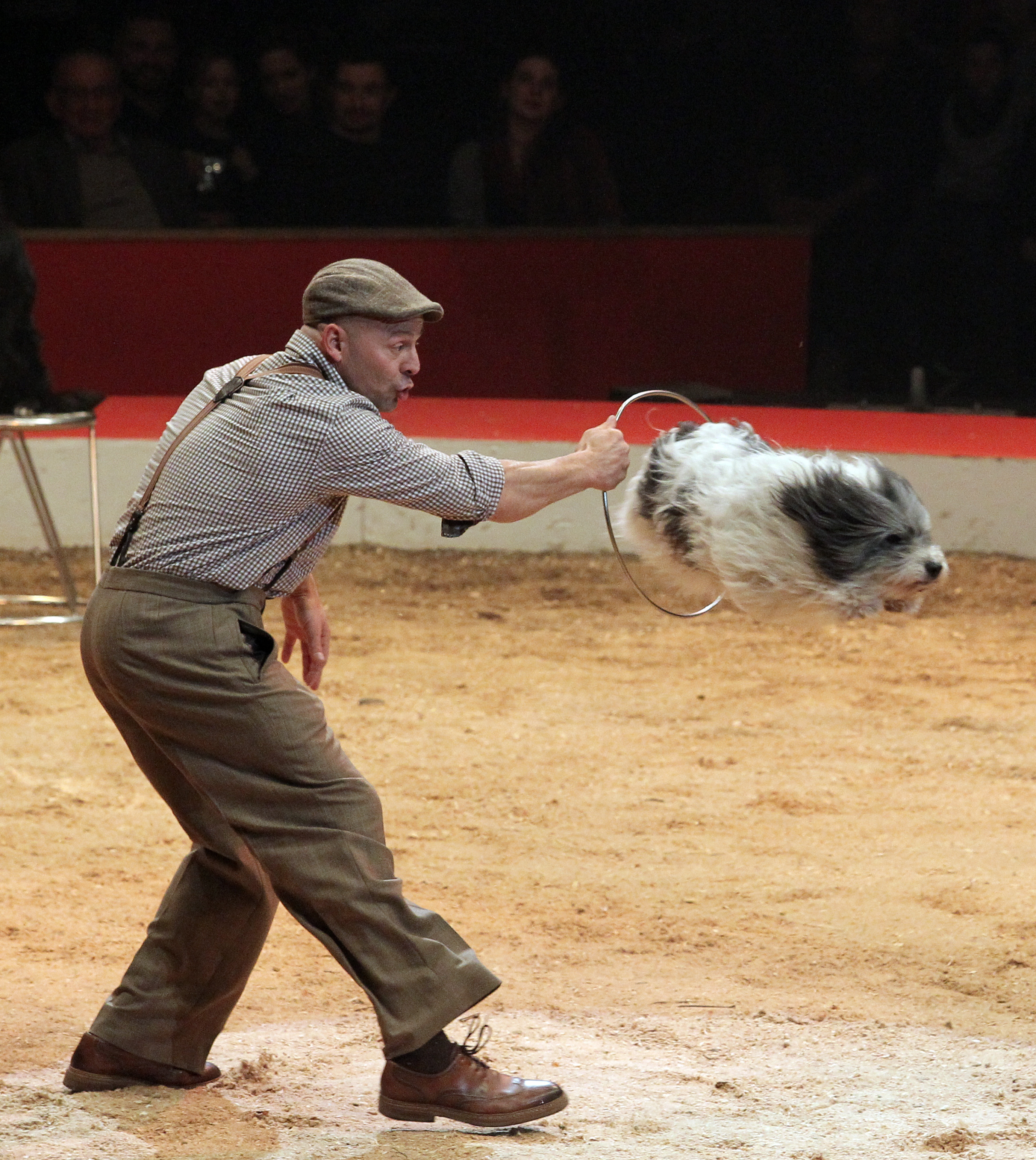 Wolfgang Lauenburger - chiens - 2018