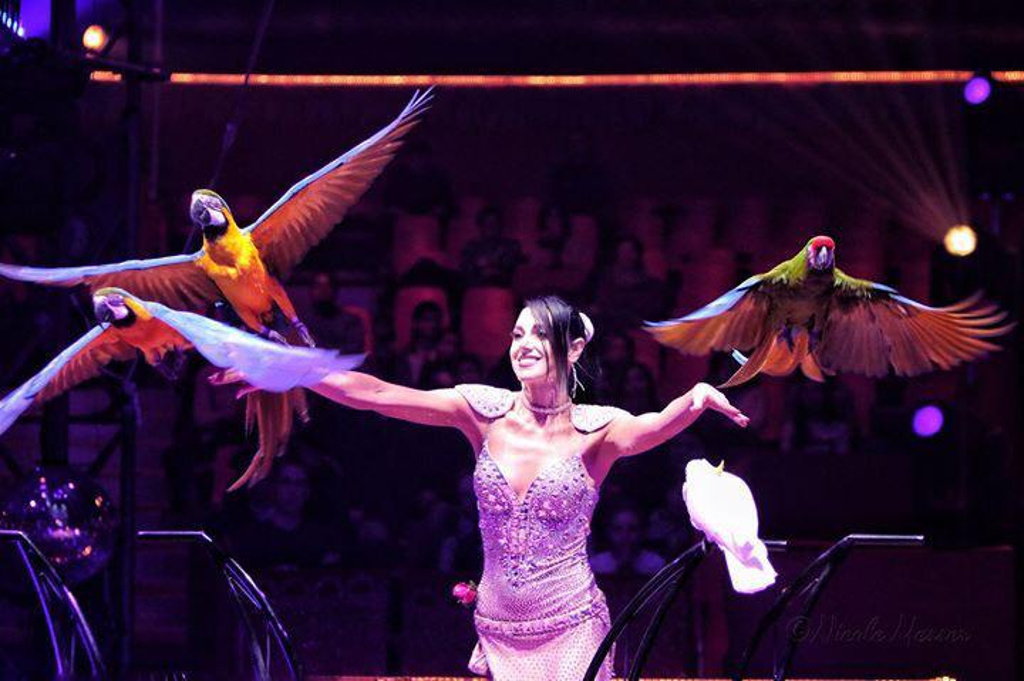 Elisa Coussandier (2) - 2019