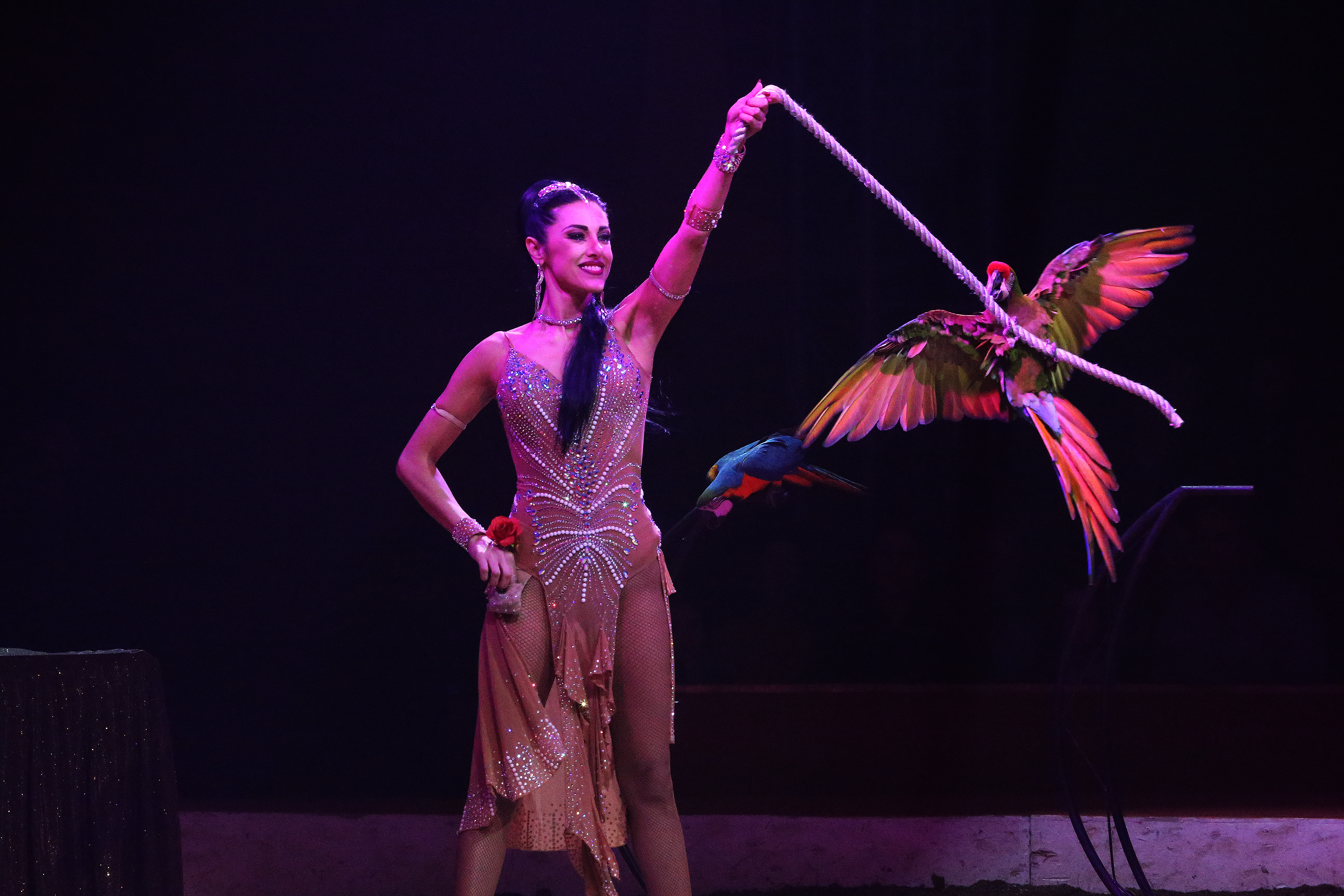 Elisa Coussandier - 2019