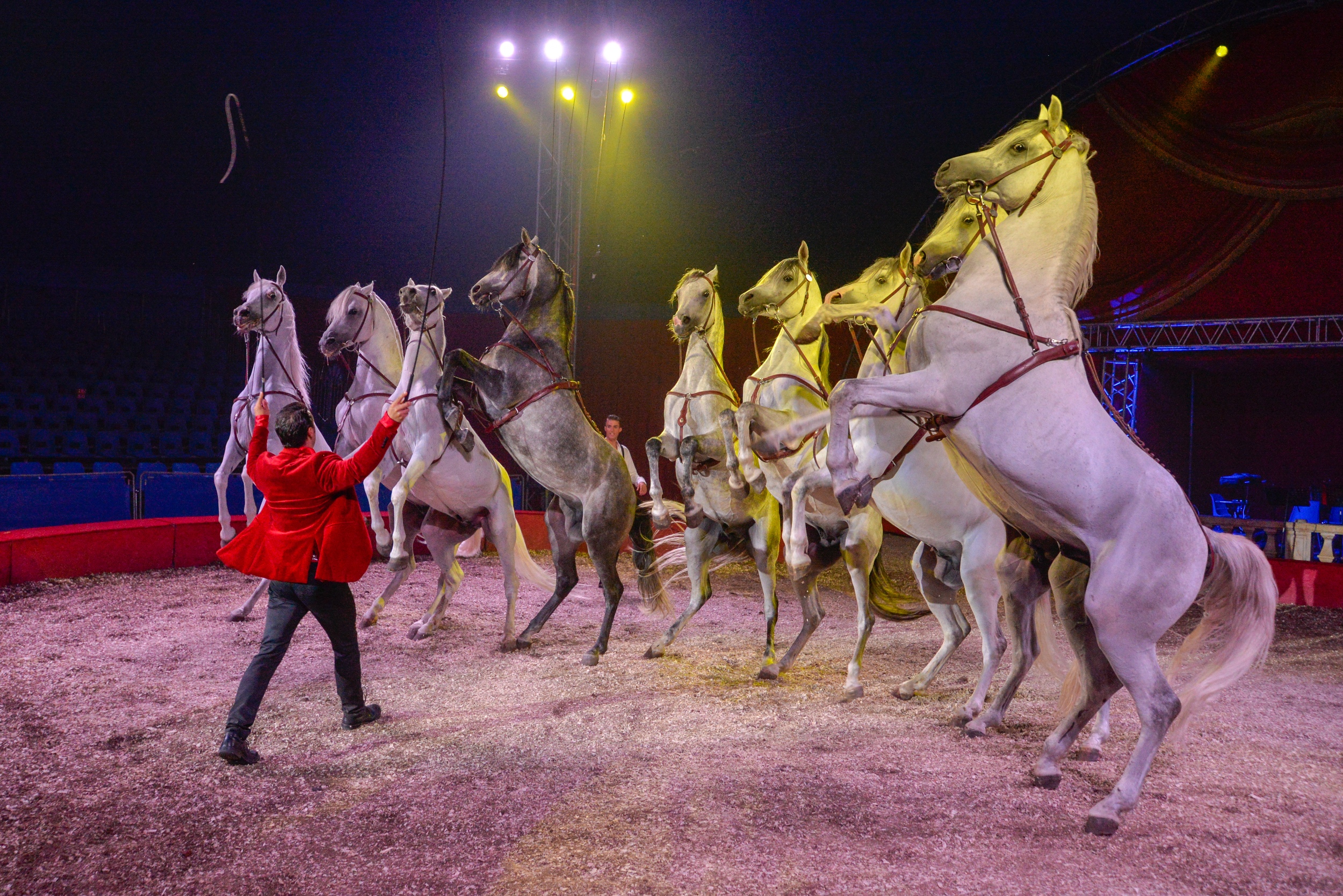 Florian Richter Cavalerie