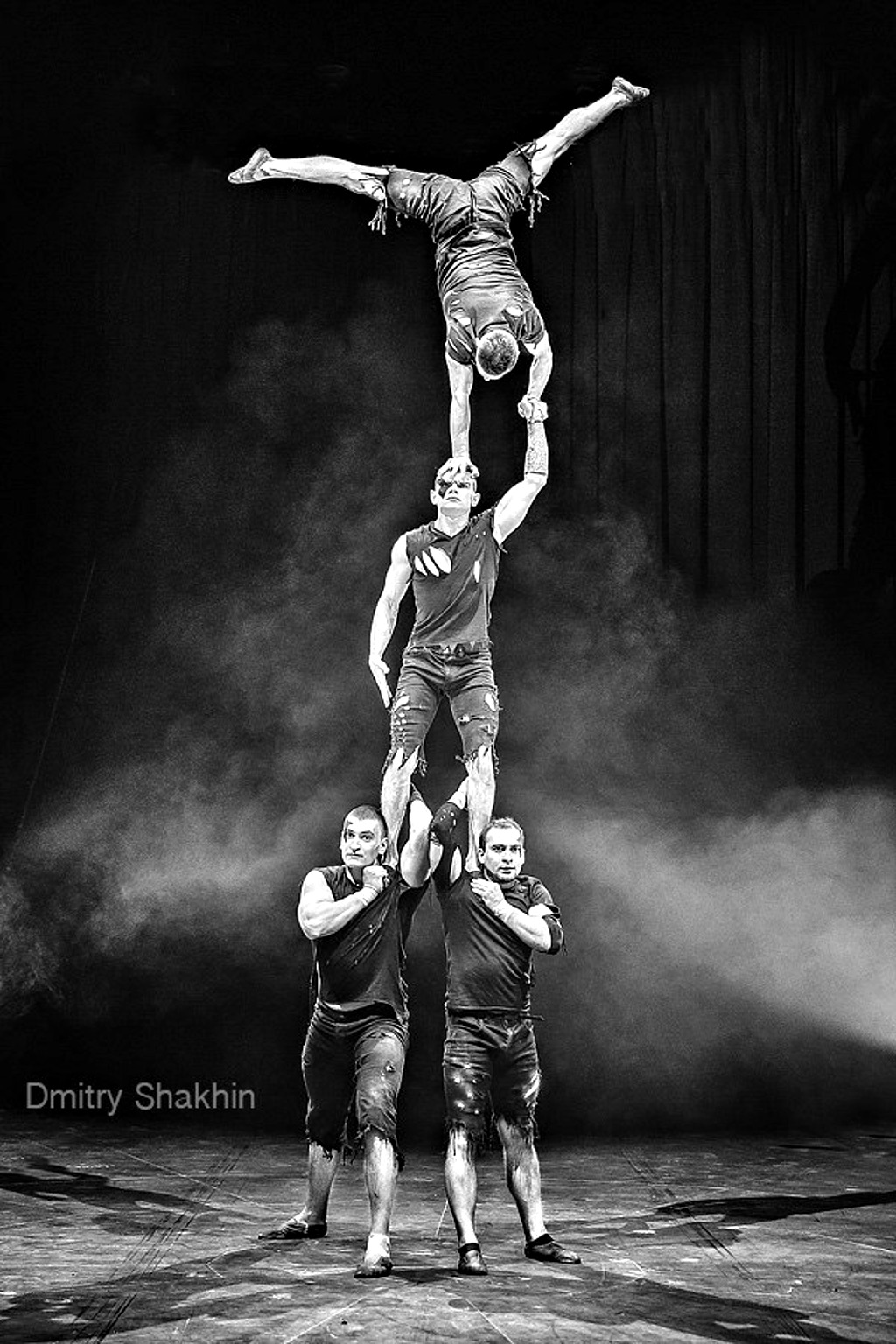 Wild - Acrobatie au tapis (2018)