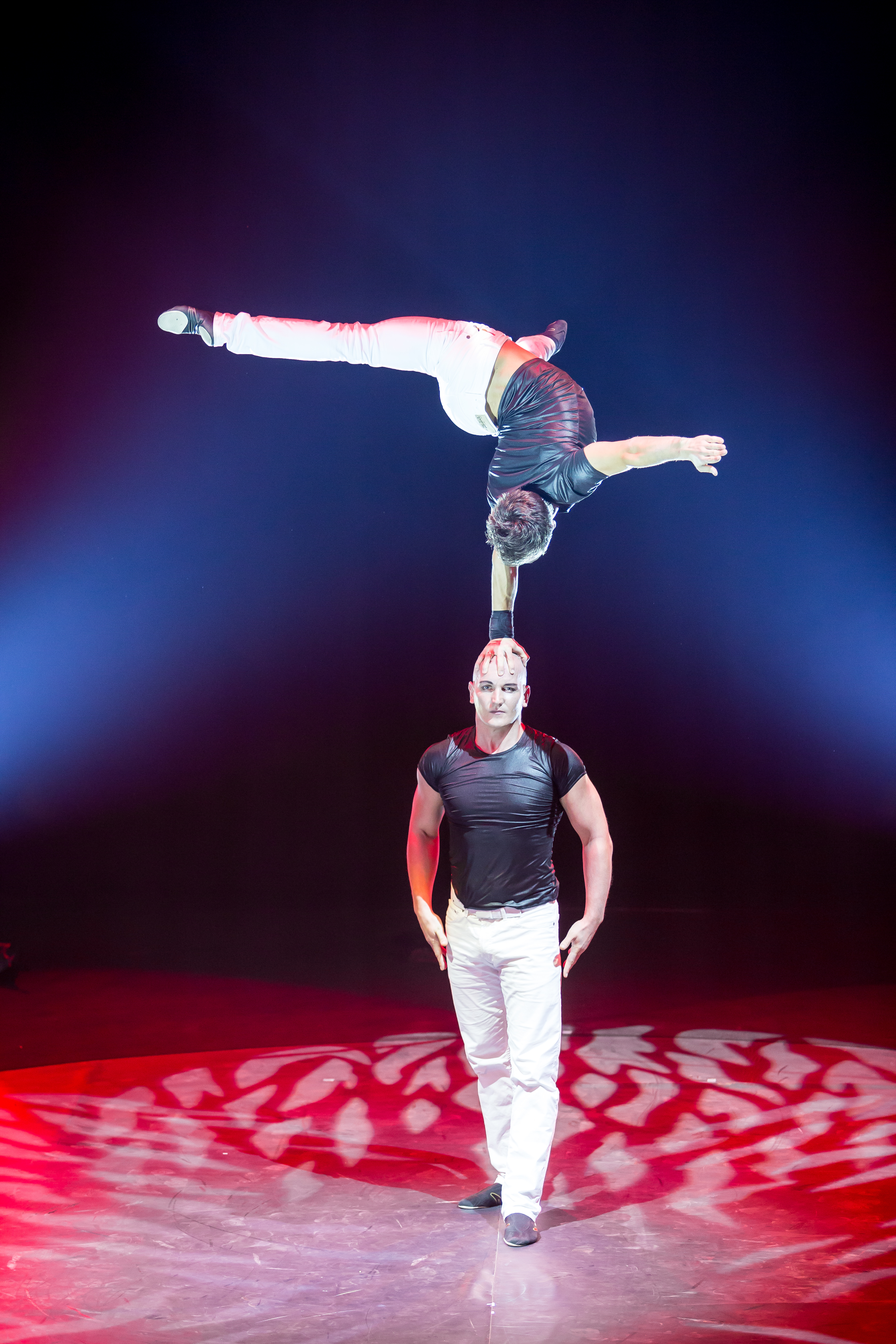 DIMA & DIMA - main à main - 2018