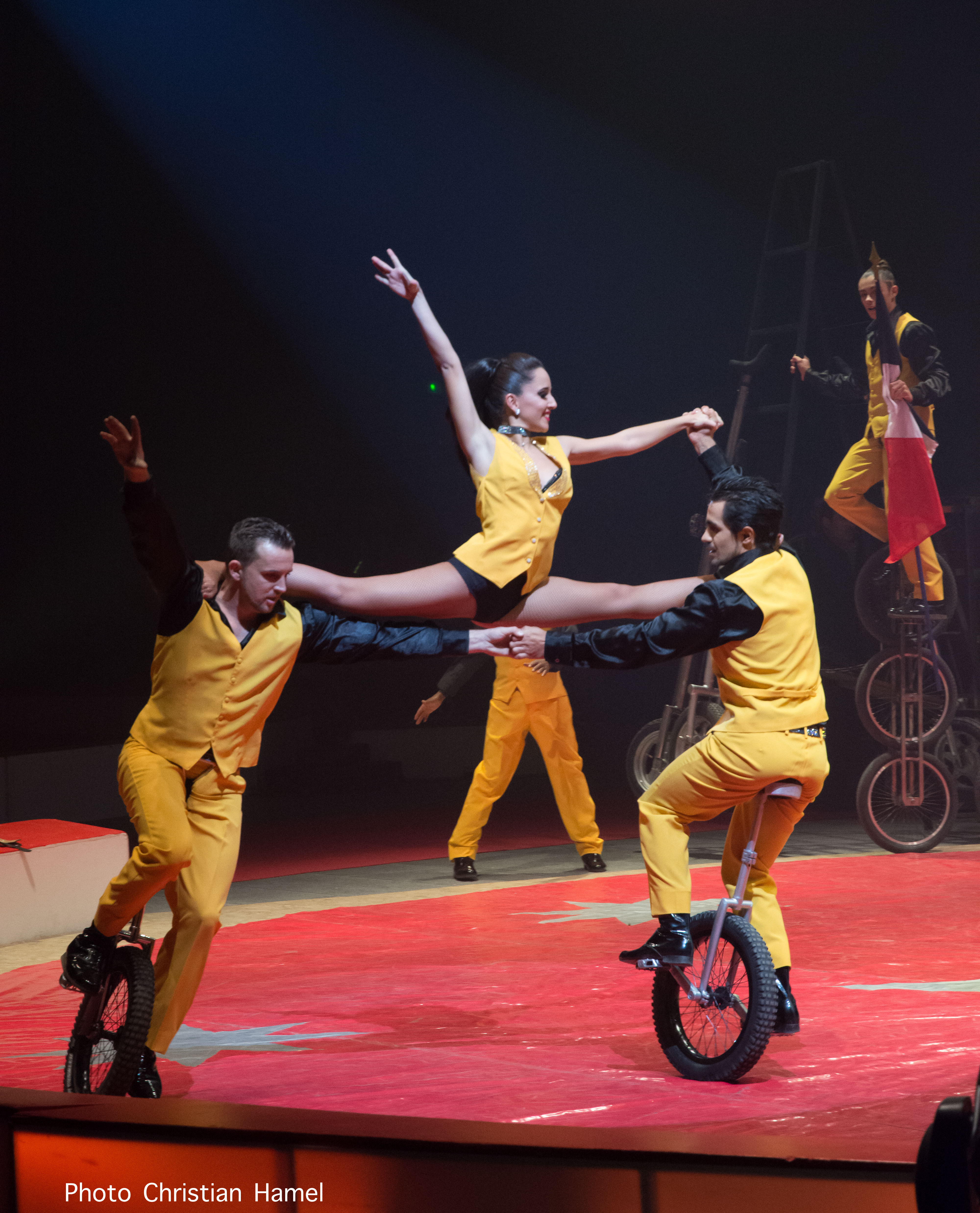 MACAGGI Valla Bertini - Monocycles - 2018