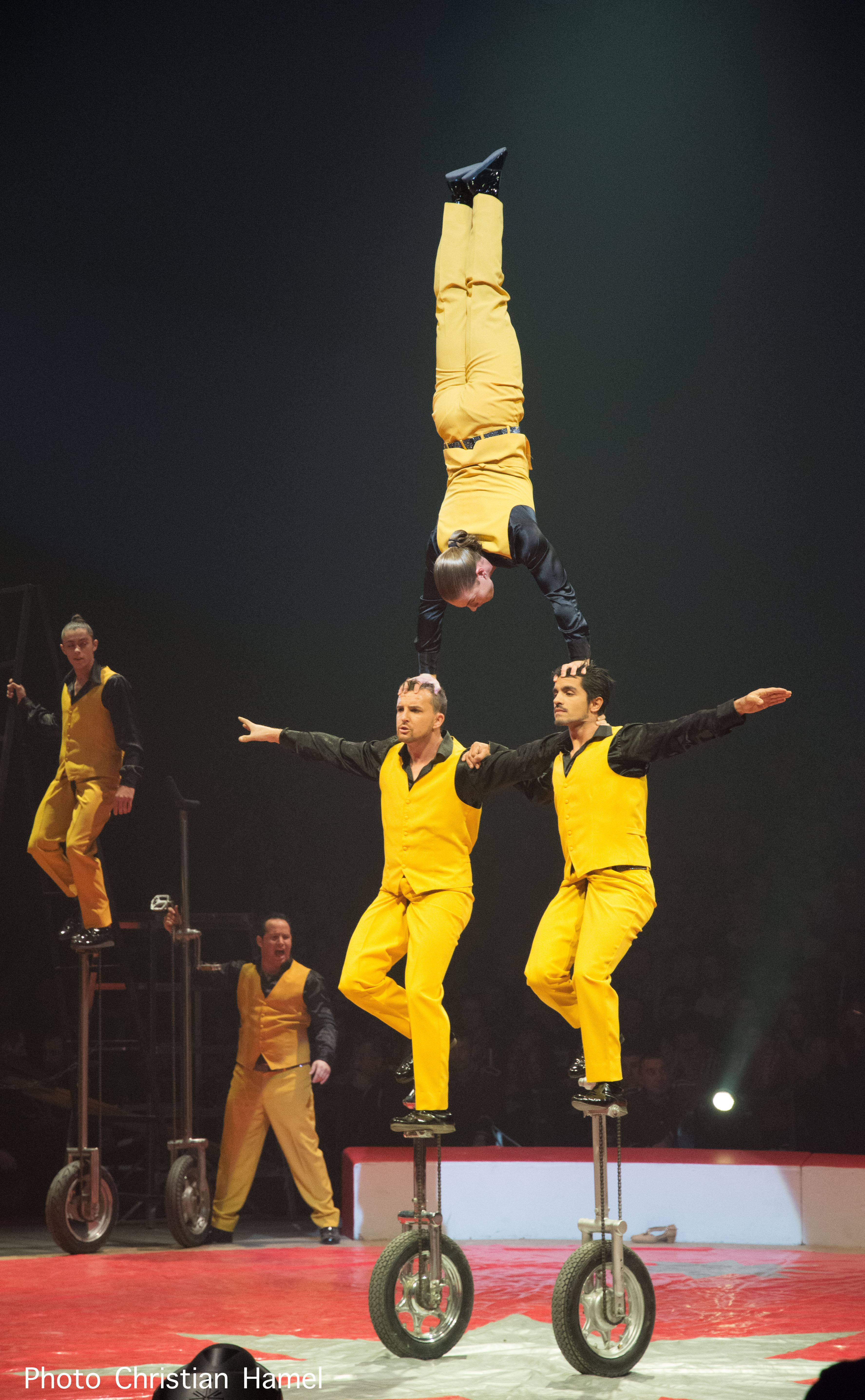 MACAGGI Valla Bertini - Monocycles - 2018