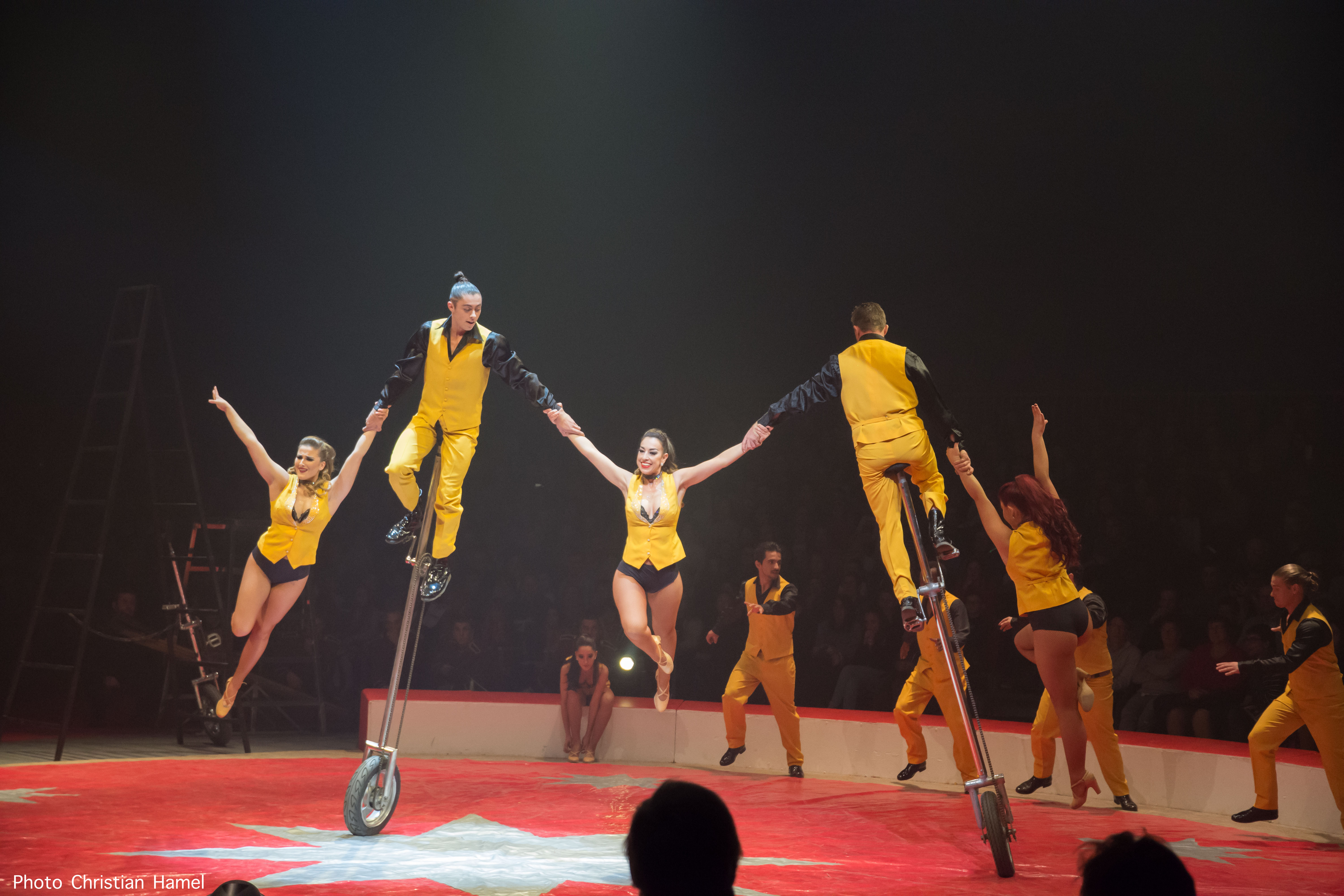 MACAGGI Valla Bertini - Monocycles - 2018