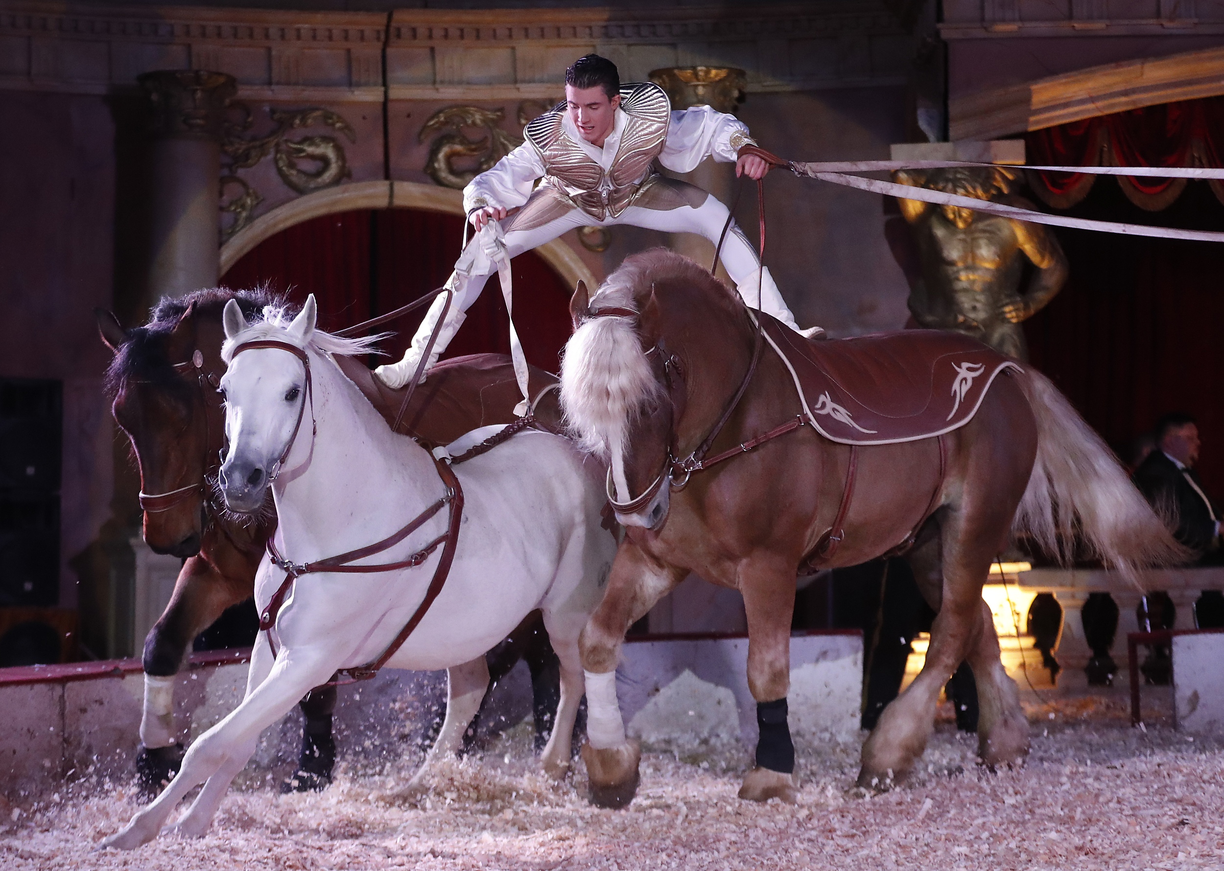 Kevin Richter laposte 7BAL9038