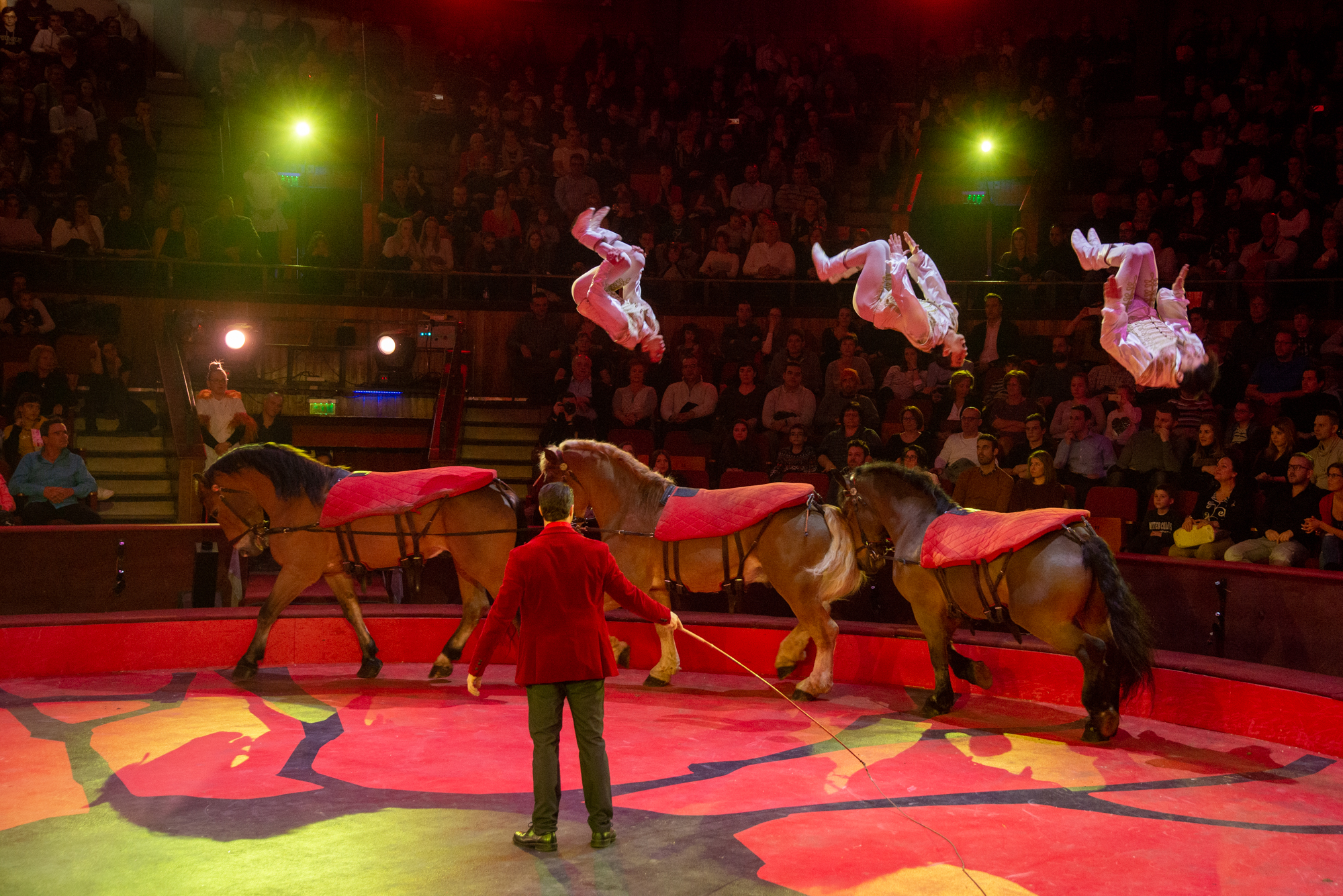 Kevin Richter Jockey URB6017