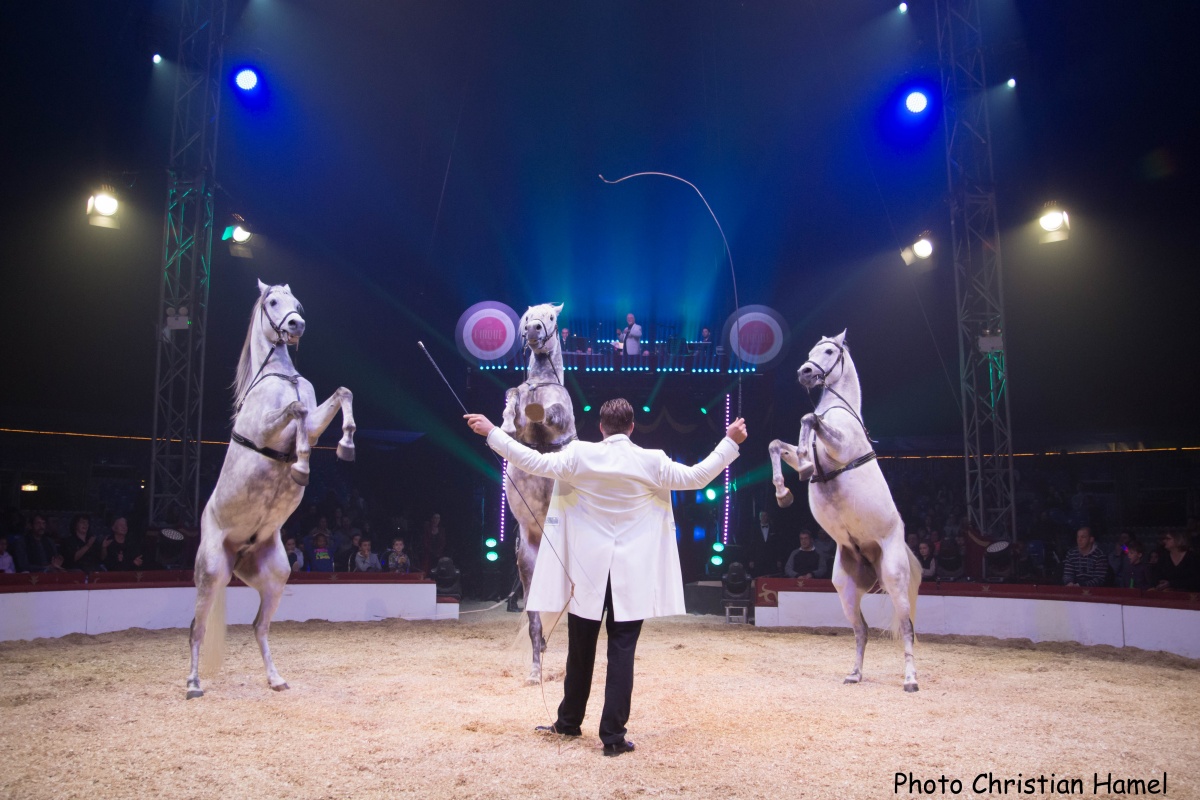 Festival International du Cirque 2018 - Numéro chevaux Marlon Zinnecker