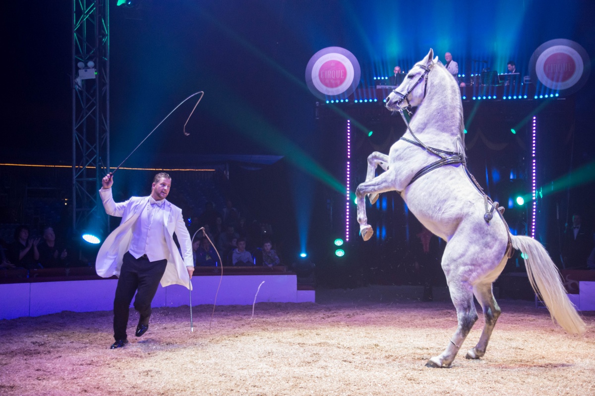 Festival International du Cirque 2018 - Numéro Marlon Zinnecker