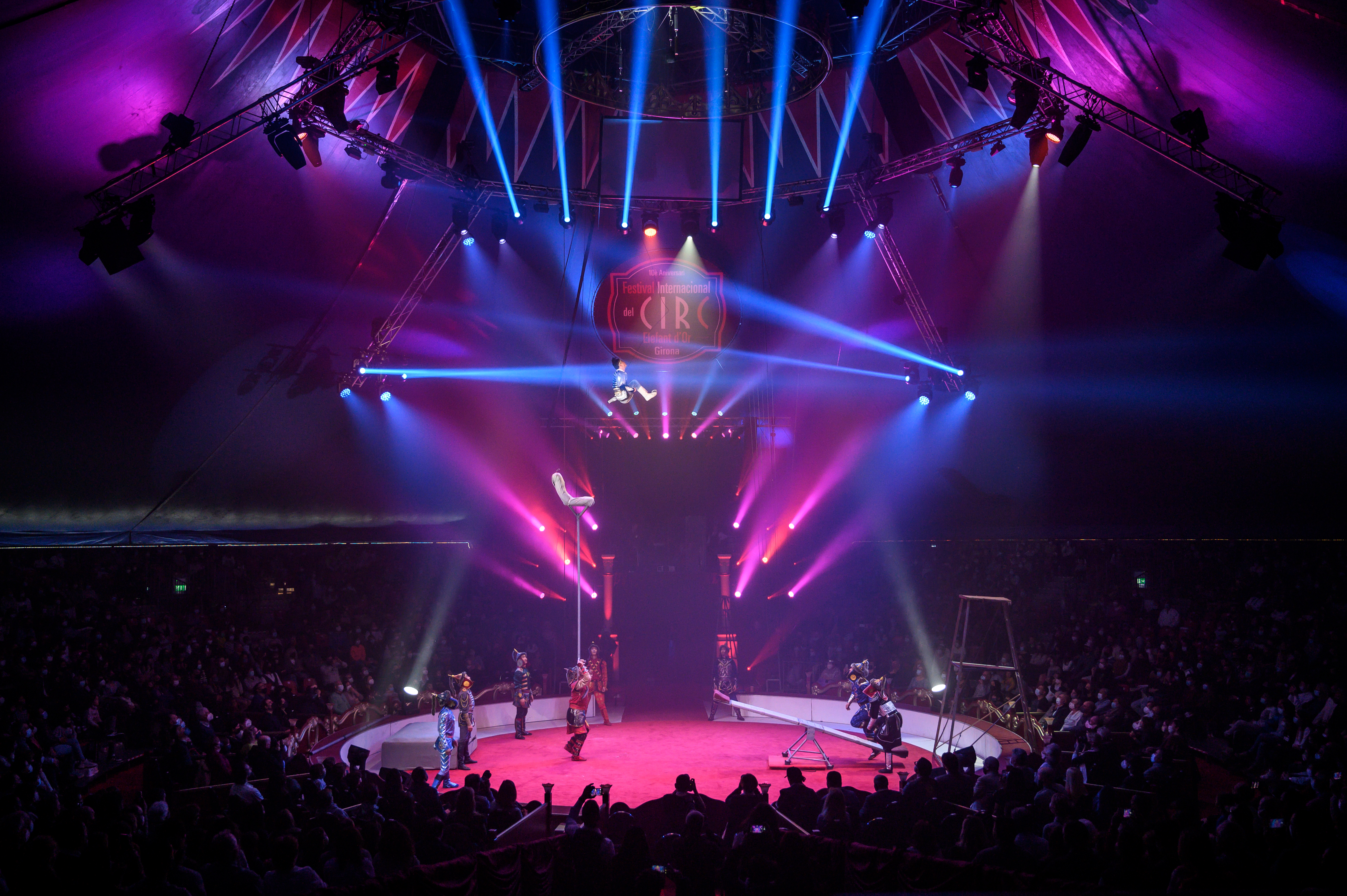 Troupe Zola - 51936099094