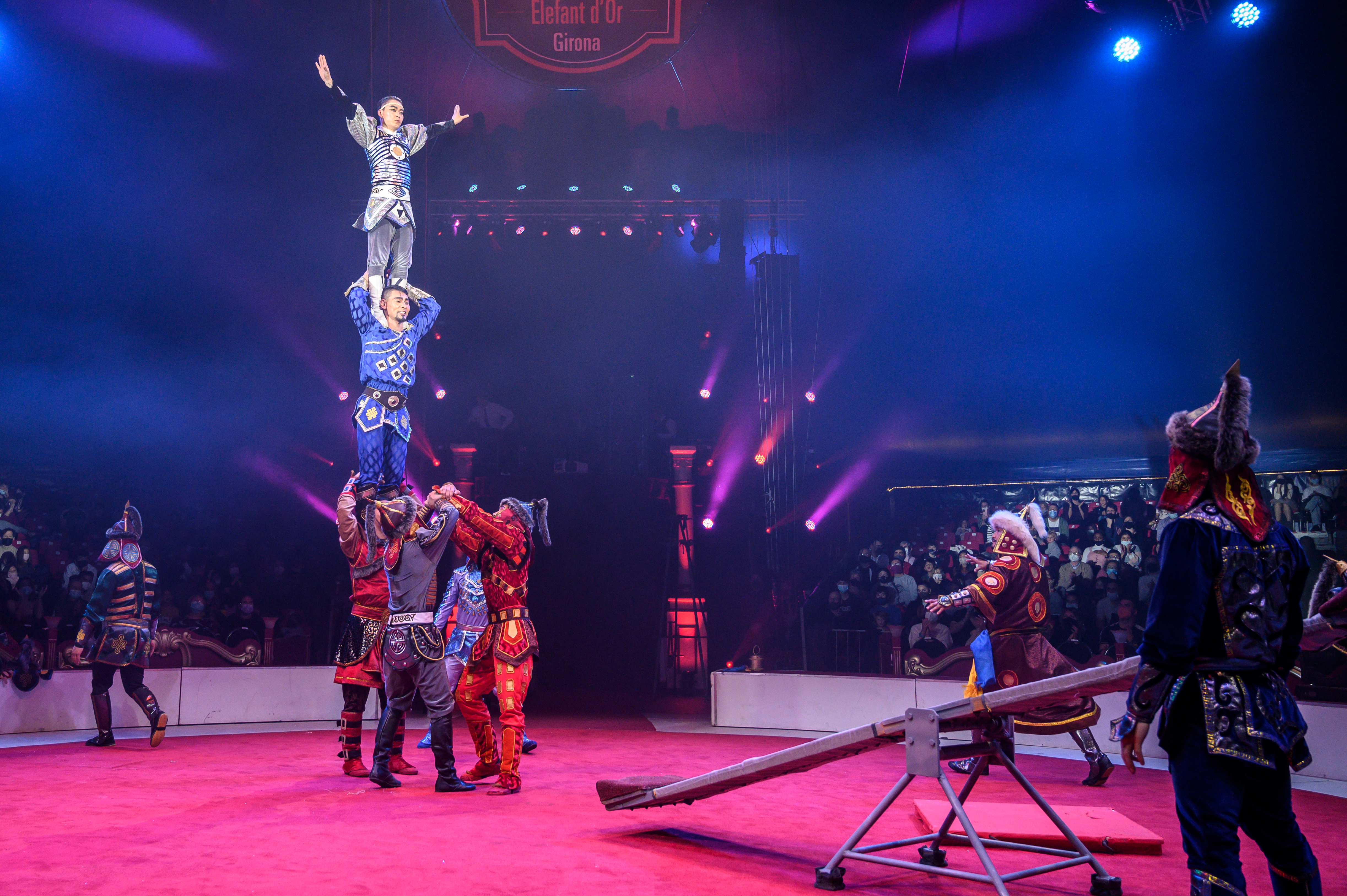 Troupe Zola - 51936394805