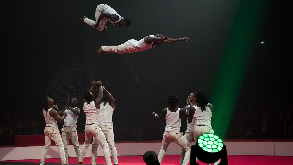 Guinea's Acrobatics (297)