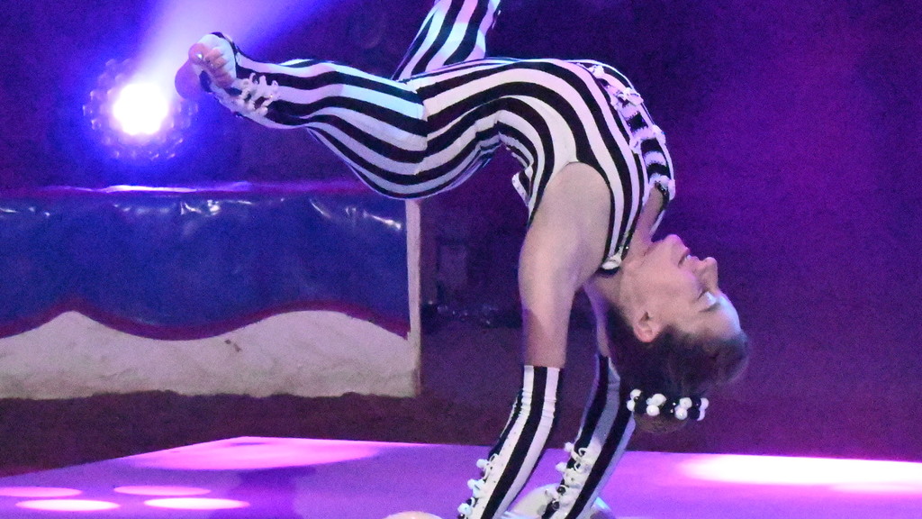Trixie Zavatta (photo: Christian Hamel)