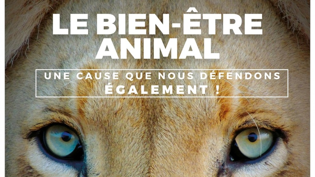 Le Bien-Être Animal Thumbnail