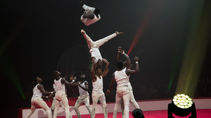 Guinea's Acrobatics (298)