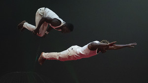 Guinea's Acrobatics (297)