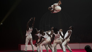 Guinea's Acrobatics (298)