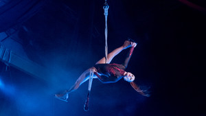 K.F trapeze El Corazon Little Big Top 17