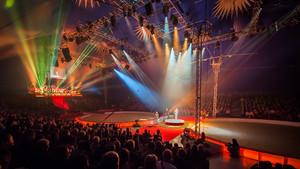 Public au Festival international du Cirque de Voiron 2017