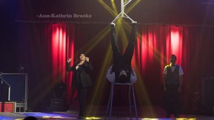 Jan Navratil - photo 3